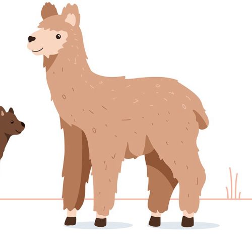 Samy Löwe 動物 Illustrator from Germany