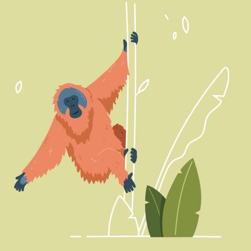Orange monkey hanging on two tree branches with green leaves