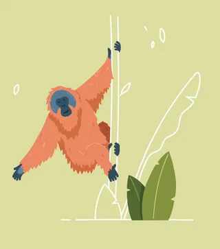 Orange monkey hanging on two tree branches with green leaves