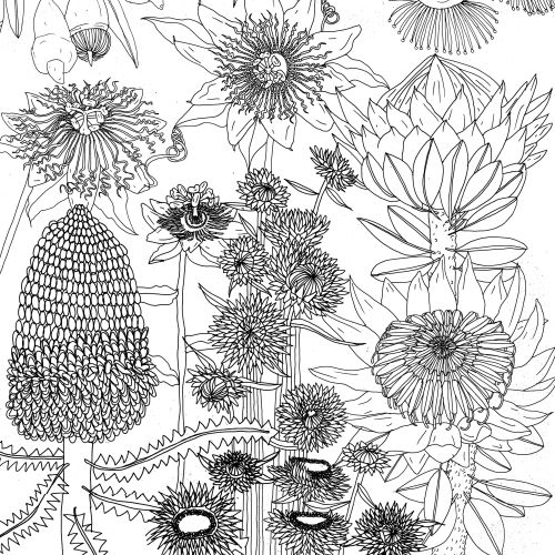 Black and white line drawing of diverse flowers and plants