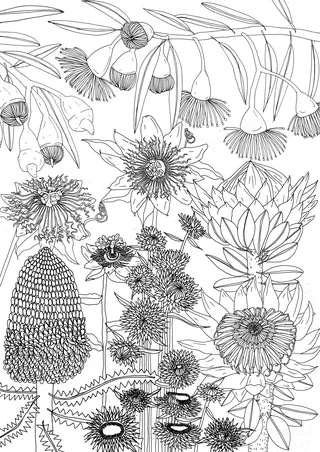 Black and white line drawing of diverse flowers and plants