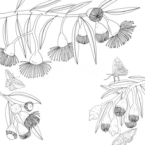 Line art of eucalyptus flowers with butterflies on branches