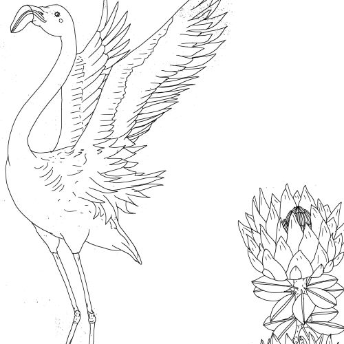 Line drawing of a flamingo with outstretched wings and flowers by Sarah Beetson