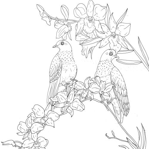 Line art of two birds sitting on a flowering branch with leaves