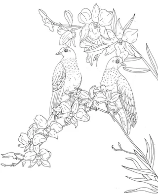 Line art of two birds sitting on a flowering branch with leaves