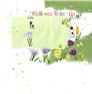 Colorful wildflowers blooming on a light green textured background