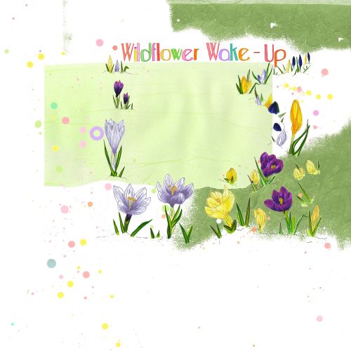 Wildflower Wake-Up floral illustration by Sarah Beetson