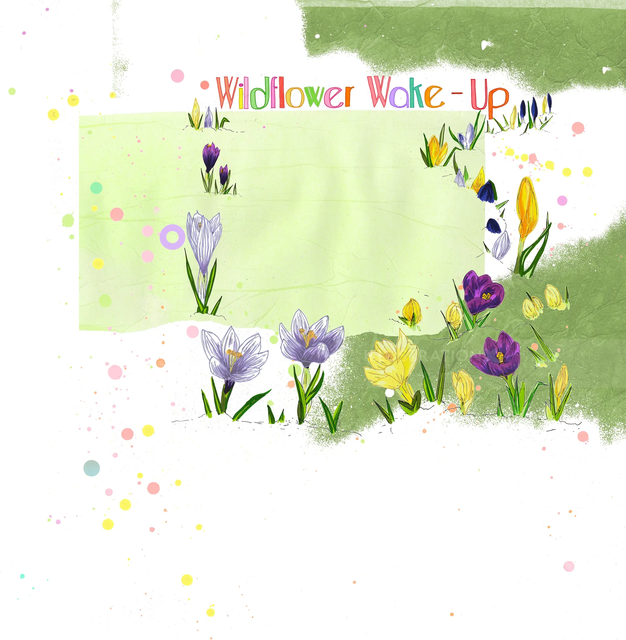 Ilustración floral "Wildflower Wake-Up" de Sarah Beetson