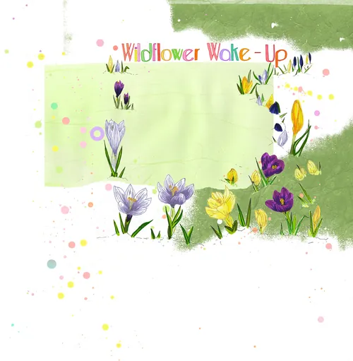 Ilustração floral "Despertar das Flores Silvestres" por Sarah Beetson