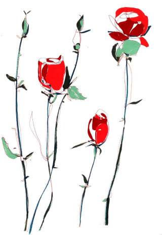 莎拉·贝特森绘制的红玫瑰插画