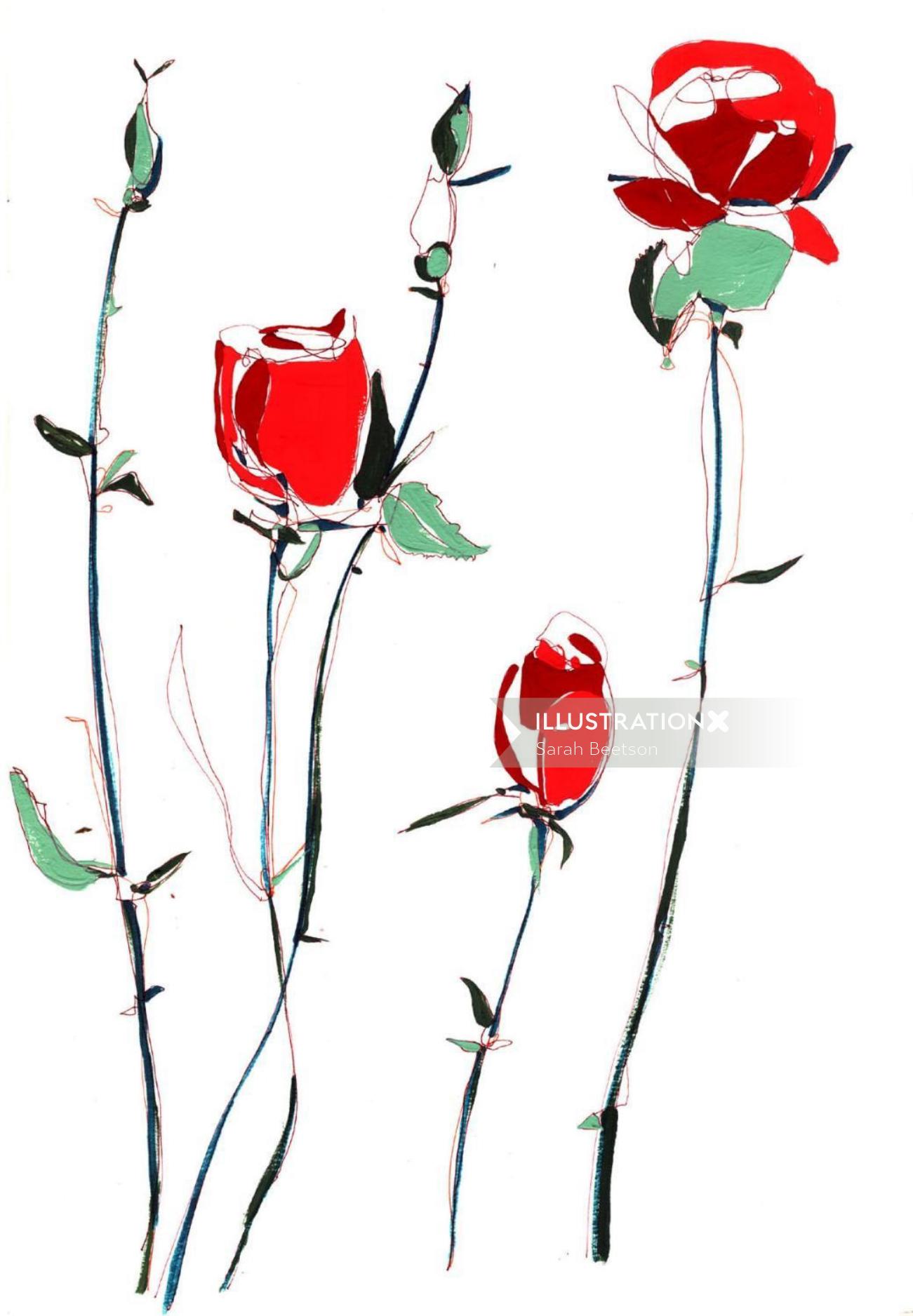 Ilustración de rosas rojas de Sarah Beetson