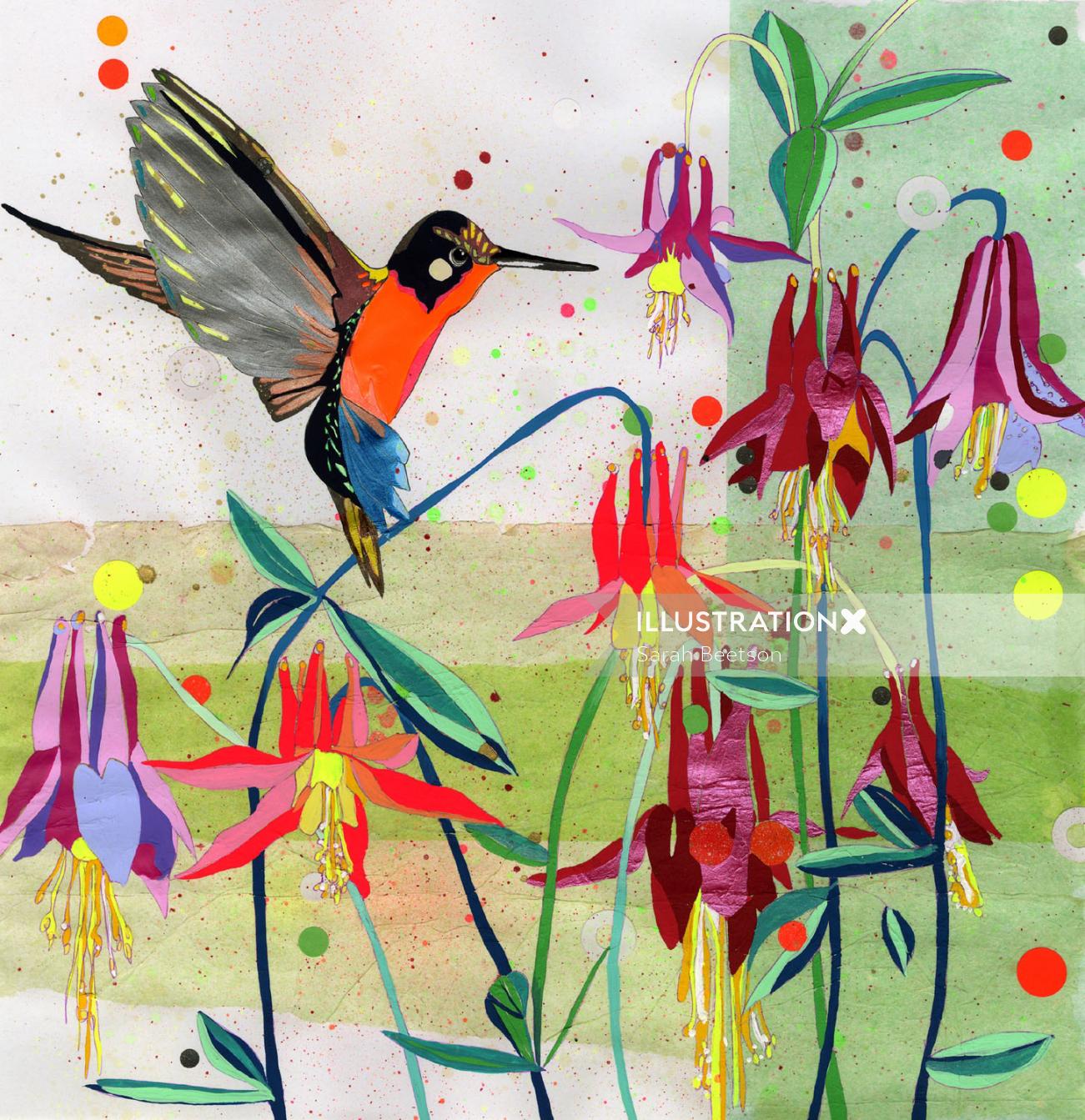 Bird | Aves illustration collection