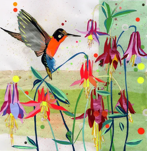 Bird | Aves illustration collection