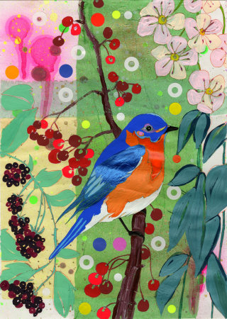 Pássaro | Coleção de ilustrações das Aves