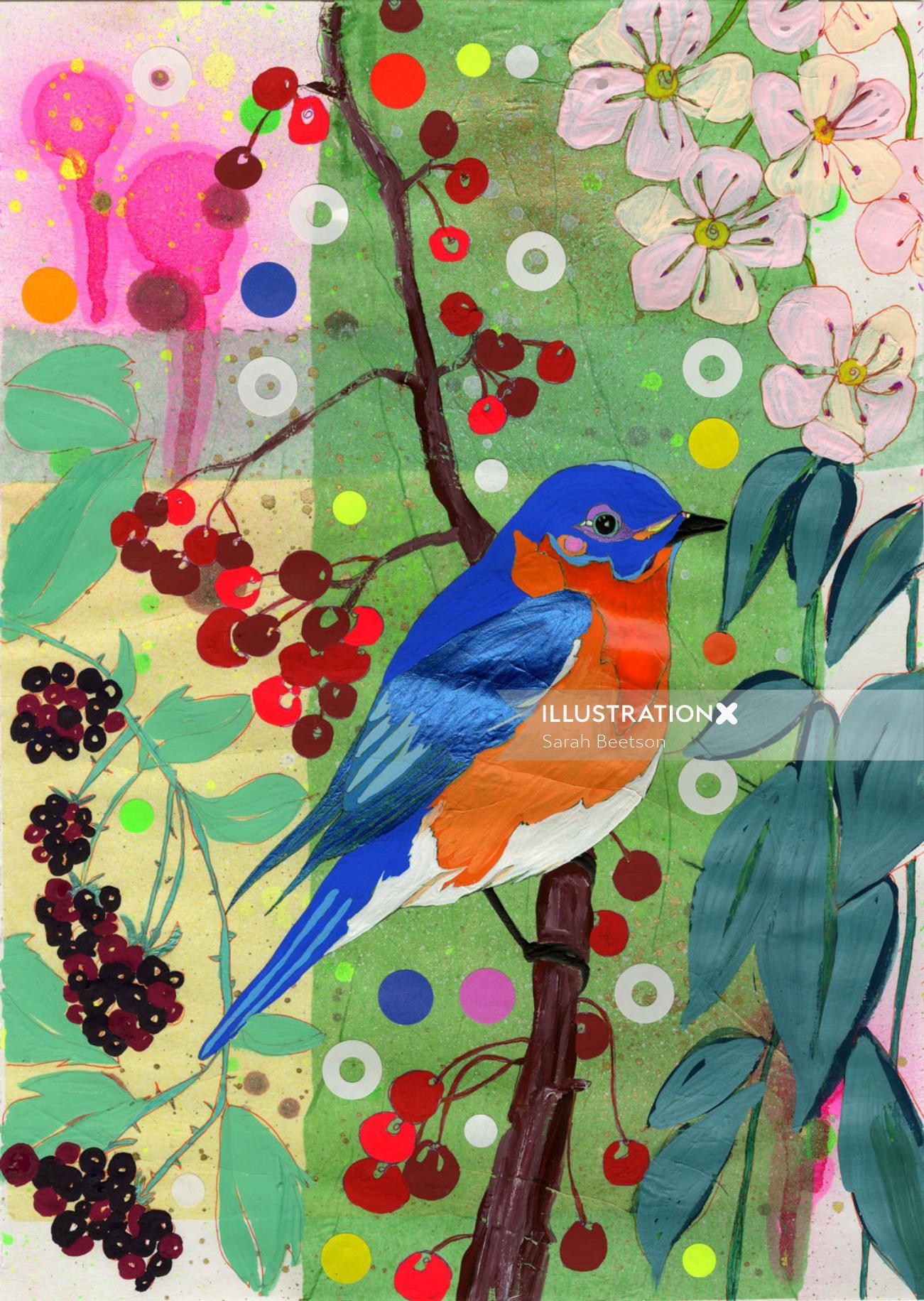 Pájaro | Colección de ilustraciones de Aves