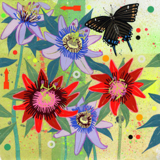 Papillon machaon noir | Collection d&#39;illustrations d&#39;insectes