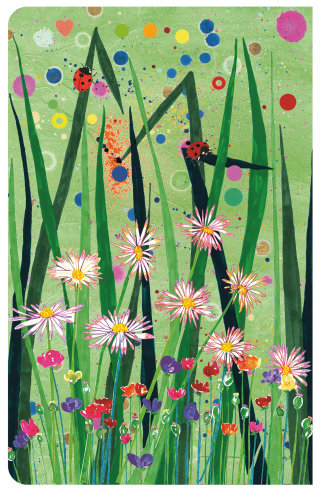 Aster | collection d &amp; # 39; illustrations de fleurs
