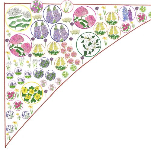 Flower plants illustration by Sarah Beetson