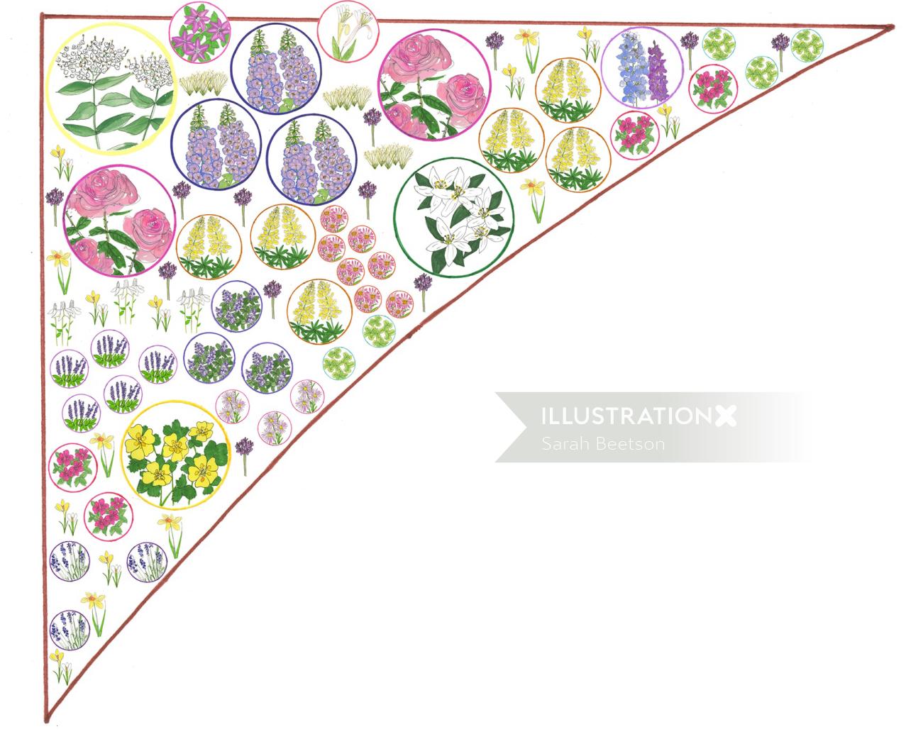 Ilustración de plantas de flores por Sarah Beetson