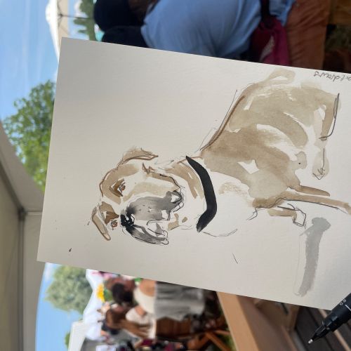 Watercolor painting of a dog held by artist at outdoor event