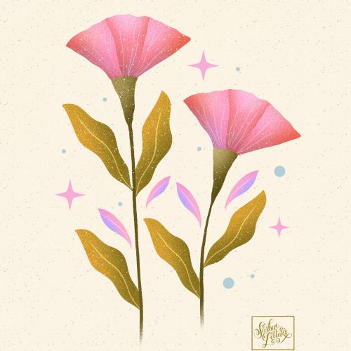 Digital illustration of Pink Calla Lily