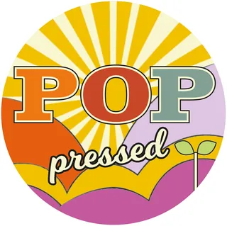 Colorful retro style POP pressed logo with sunburst and plant, designed by Scratchy Hen Design