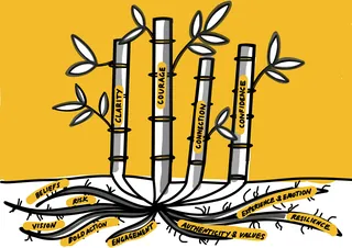 Bamboo stalks labeled clarity, courage, connection, confidence growing from roots of positive traits