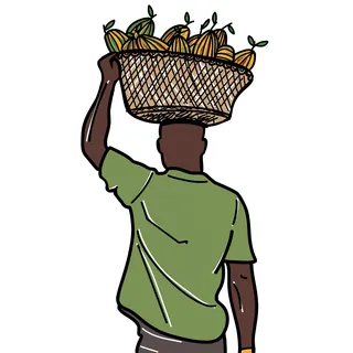 Person carrying basket of mangoes on head, back view illustration