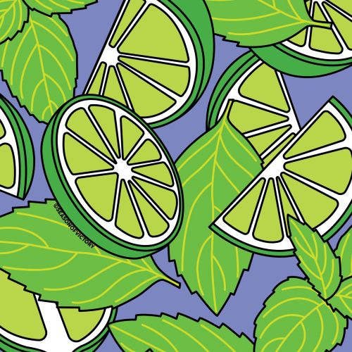 Lime mint illustration for Sparkling Water Packaging