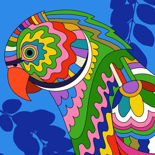 Colourful Ringneck Parakeet poster illustration