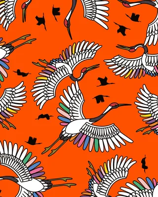 Colorful illustrated cranes for skincare brand