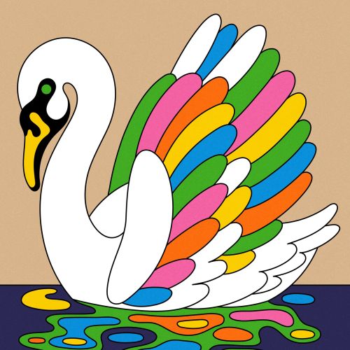 Timeless luxury colorful swan illustration