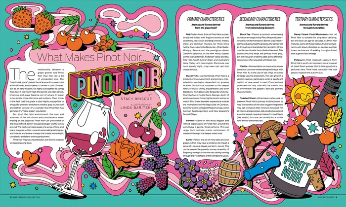 Spread in Wine Enthusiast magazine about Pinot Noir