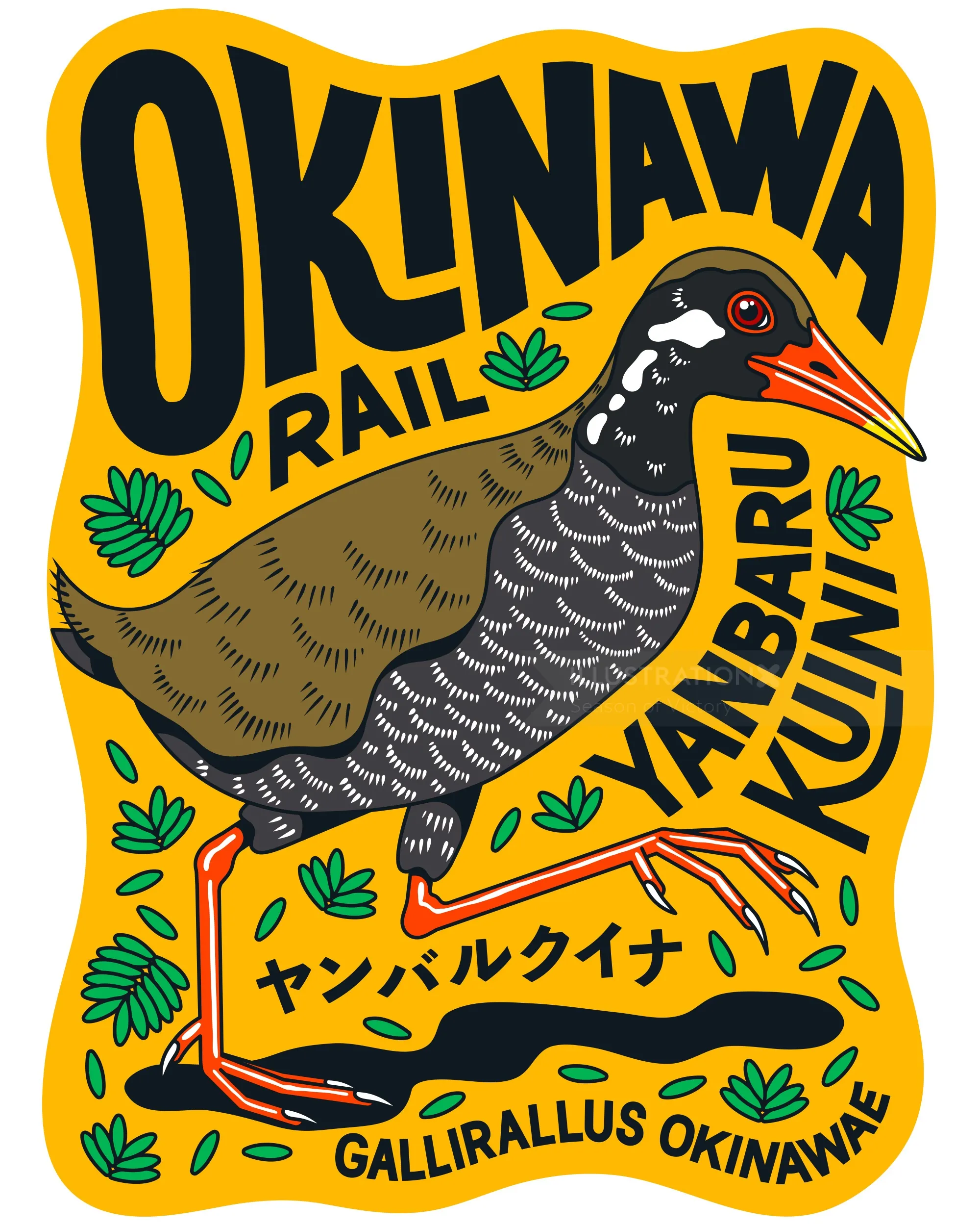 Illustration of Okinawan rail bird by Season of Victory