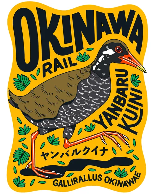 Illustration of Okinawan rail bird by Season of Victory