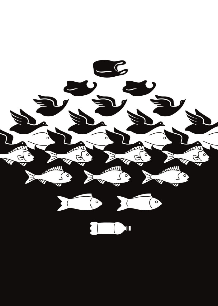 Black and white Fish and birds