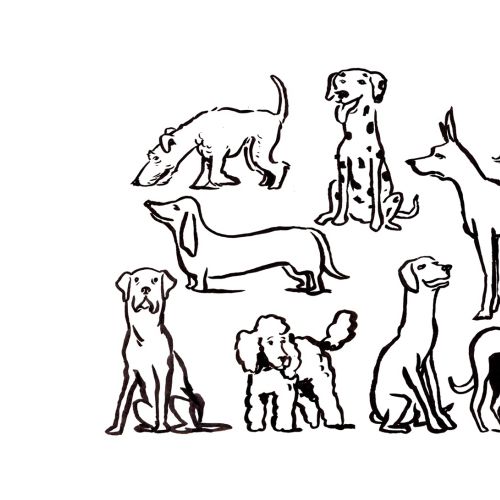 Black and white animals line drawing
