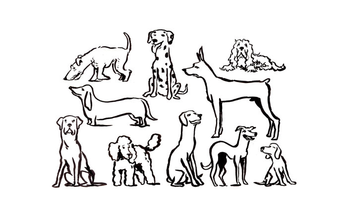 Desenho de linha de animais em preto e branco