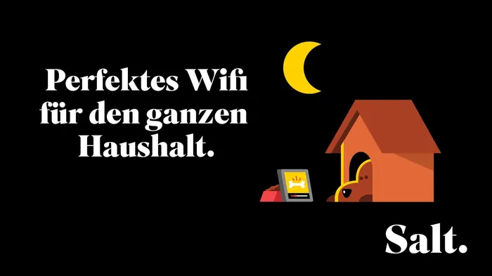 Illustration of house and pet dog with WiFi device under moonlight by Sebastian Iwohn