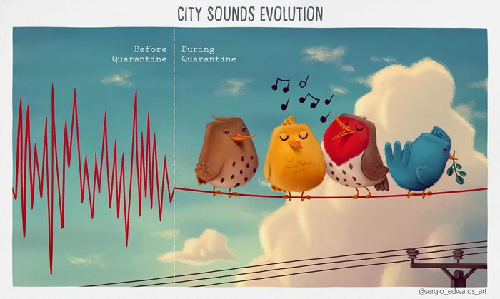 City sound evolution before and during quarantine time