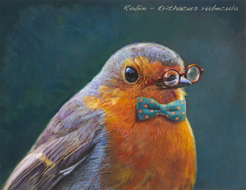 Photorealistic of a European Robin bird