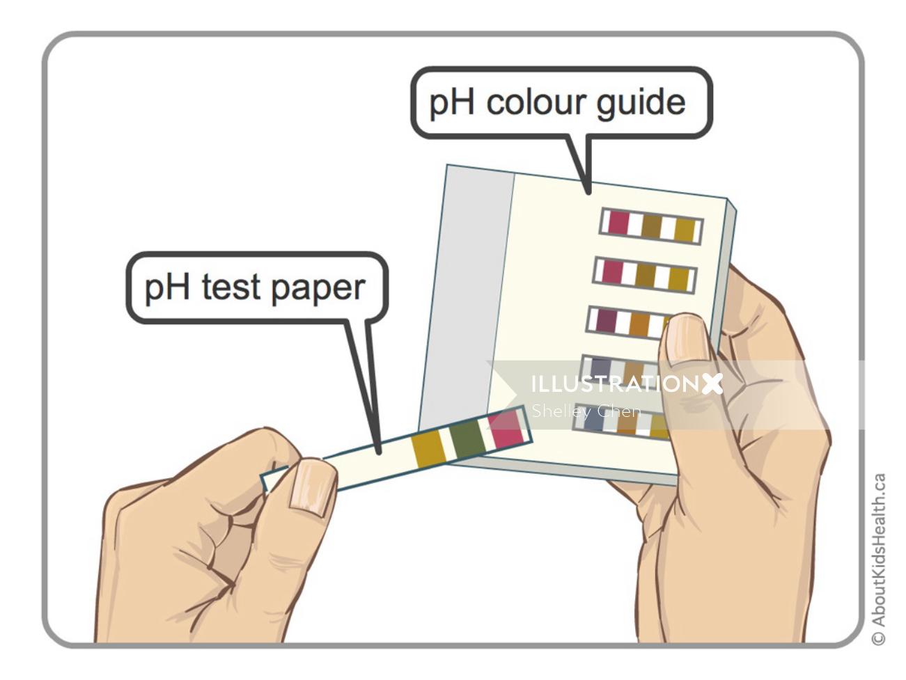 Ilustração do teste de pH do tubo NG por Shelley Li Wen Chen