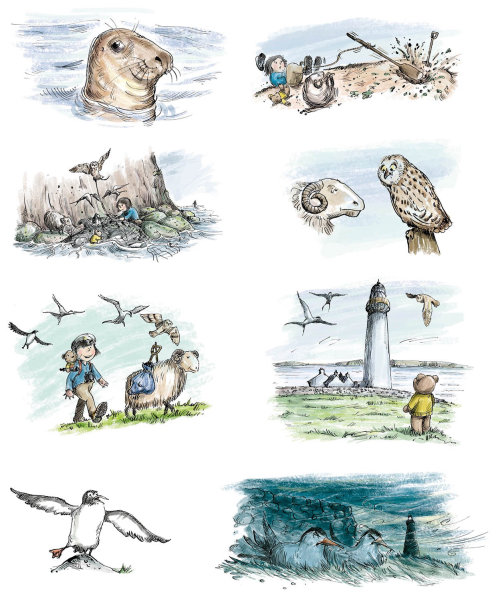 各种传统鸟类的插图