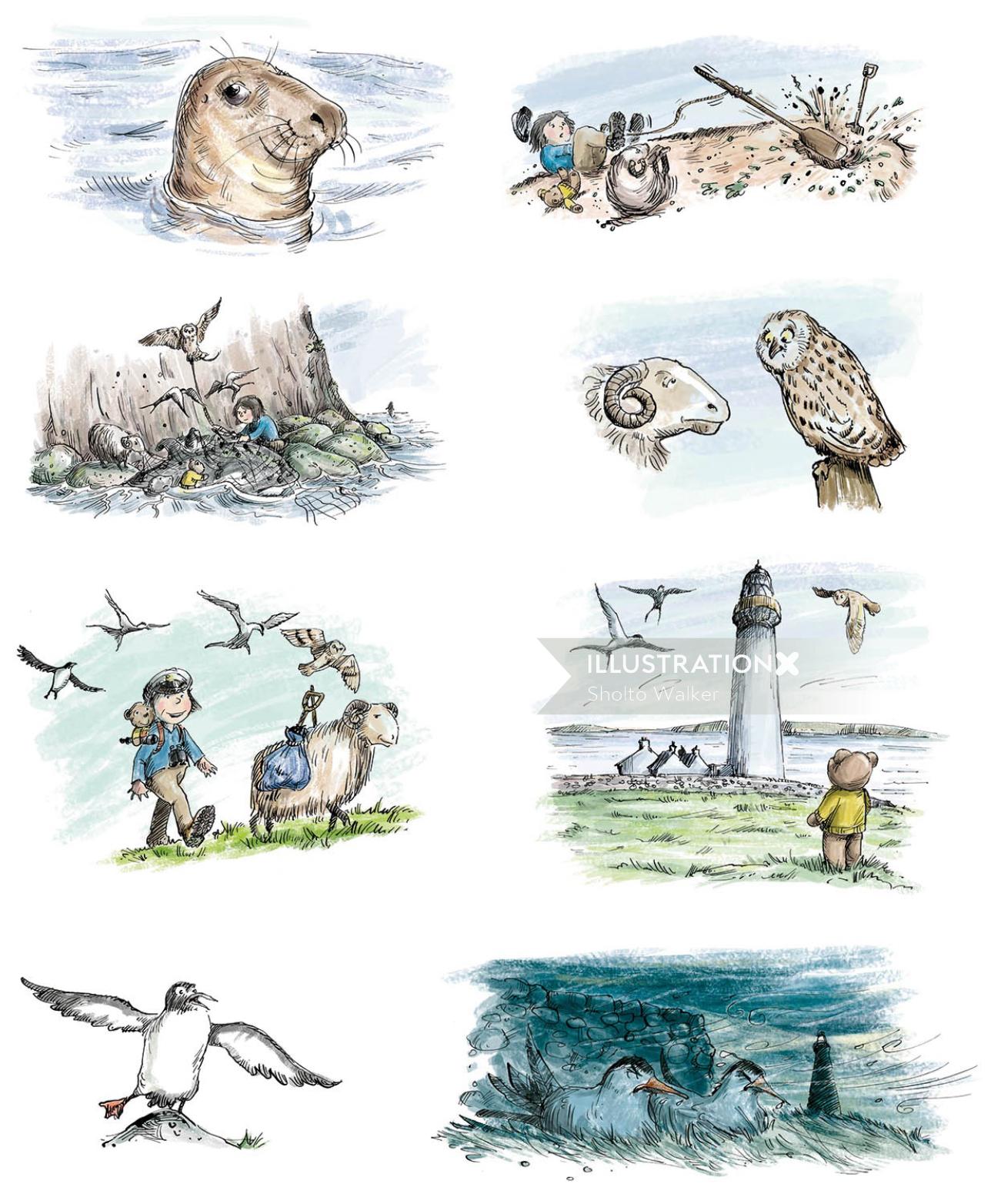 Illustration for various traditional birds