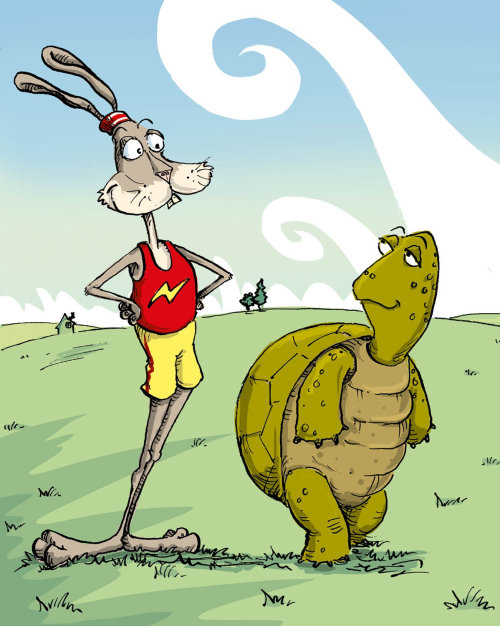 卡通和幽默的乌龟野兔