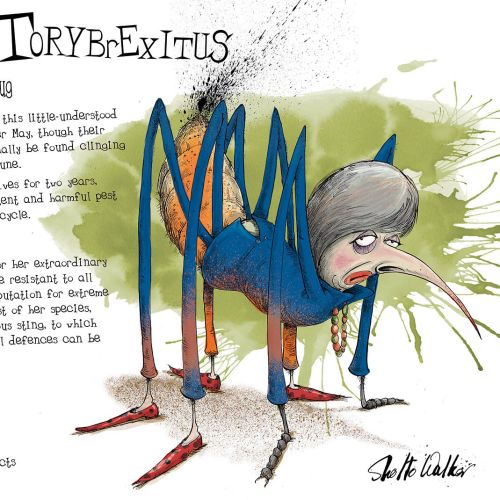 Cartoon & Humour  Theresa May as a monstrous insect
