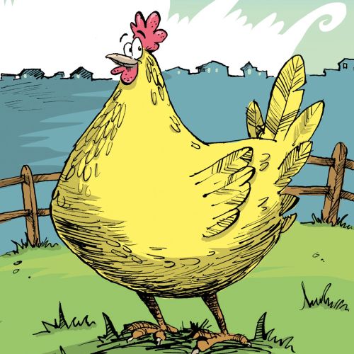 Cartoon & Humour  Buttercup the chicken in her yard
