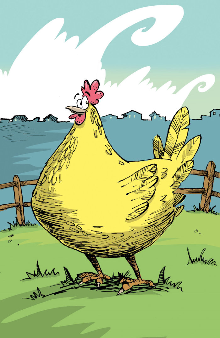 Cartoon & Humour  Buttercup the chicken in her yard
