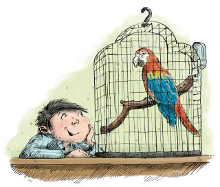 动物小男孩和他的宠物鹦鹉交谈。
