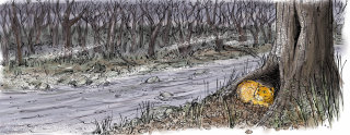 Animal  Ginger cat alone and cold in the winter woods
